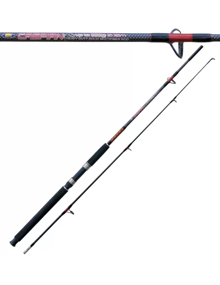 Pesca Cañas de acción 100-250 gr Caspio
