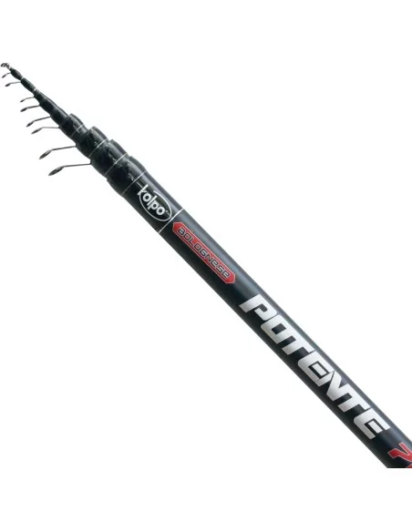 Kolpo Potente Canna Da Pesca Bolognese in Carbonio Alto Modulo