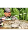 Pesca de gatos
