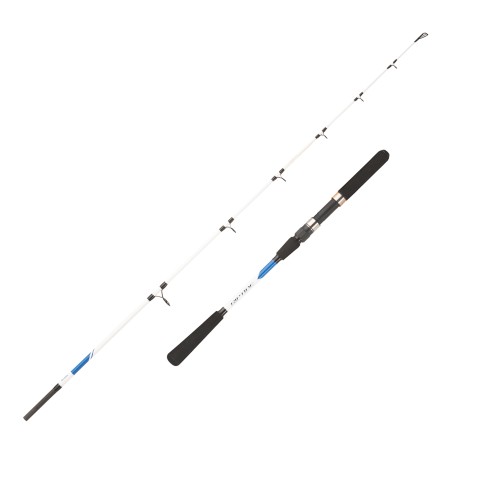 Mitchell Riptide Spinning Sea Fishing CAnna 2 Secciones Mitchell
