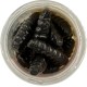 Berkley Gulp Honey Worm 33 mm 18 uds Berkley