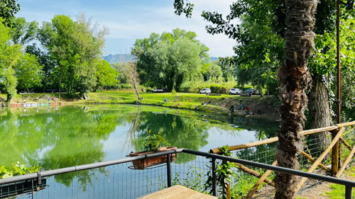 lago sponda cannucce