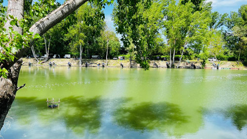 lago sponda nera