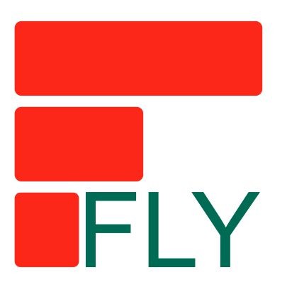 Fly