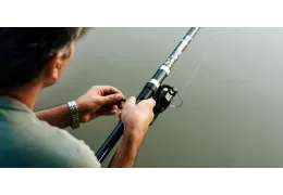 Pesca de otoño: productos para la pesca de cefalópodos y caballa