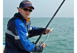 Pesca marítima de aguja desde la orilla.