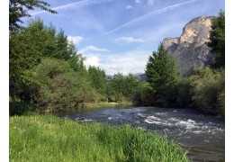 Pesca en Trentino en el arroyo Noce