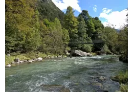 Pescar en Trentino en el río Sarca: ¡los mejores consejos para divertirse!