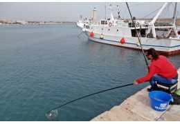 Pesca del salmonete con caña fija