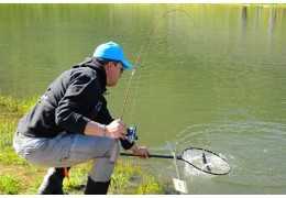 Zona de truchas: técnica de pesca y equipo para iniciarse